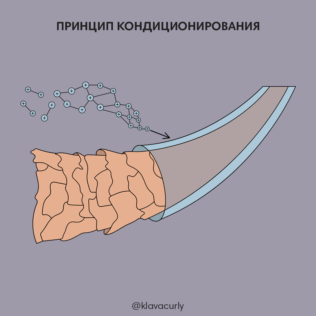 Пленка кондиционирующего средства