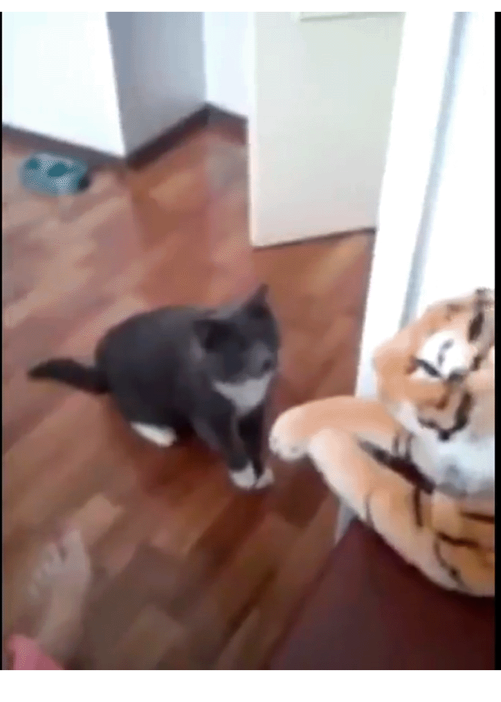 Видео с ютуба