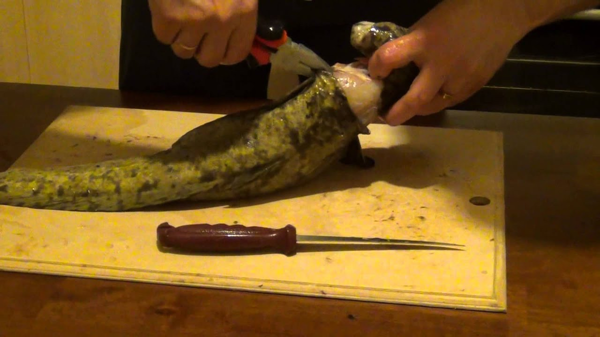 Фото для оформления заметки с https://yandex.ru