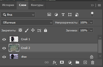 Описание инструментов Photoshop. Magnetic Lasso (Магнитное лассо).