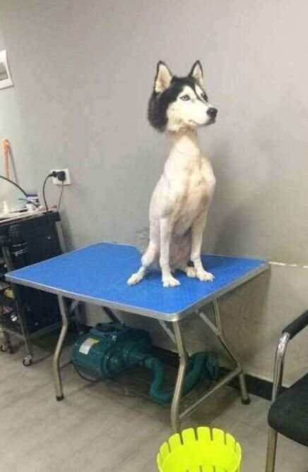 Страничка в Twitter Dane Rider