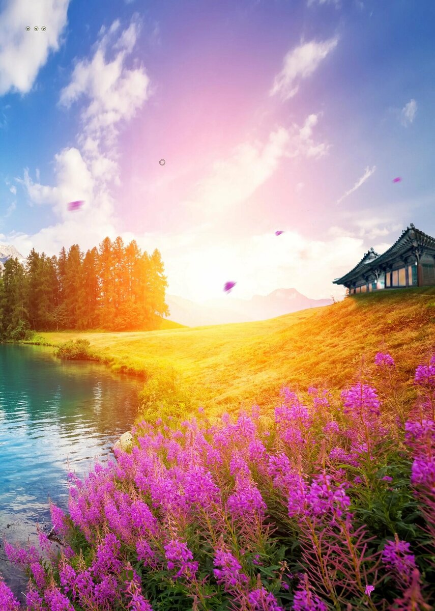 Картинка найдена на просторах интернета