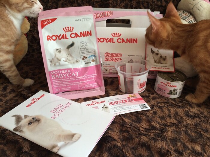 Royal Canin - один из известных и нашумевших кормов на российском рынке. Источник: royalcanin.com/Royal-Canin