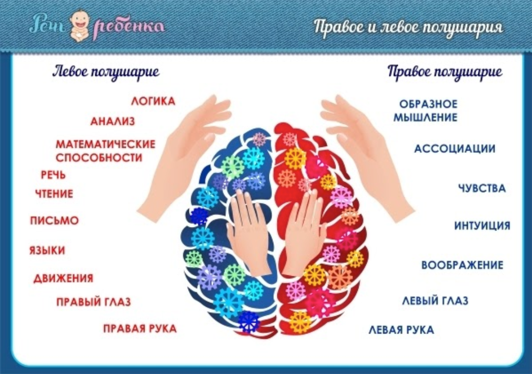 Мой ребенок - левша. Это нормально? | Заметки воспитателя со стажем | Дзен