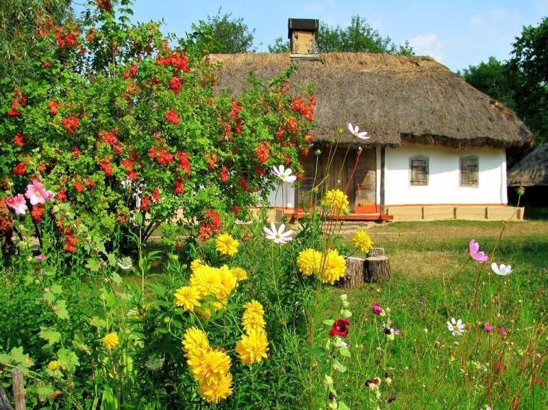 Фото из открытого источника.