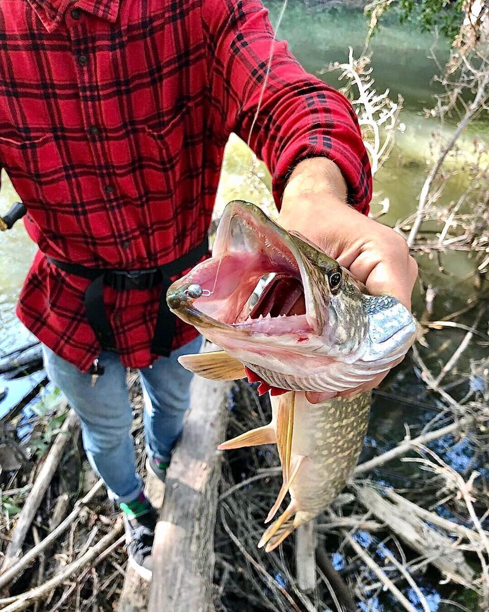 Щучка взяла за самый край 