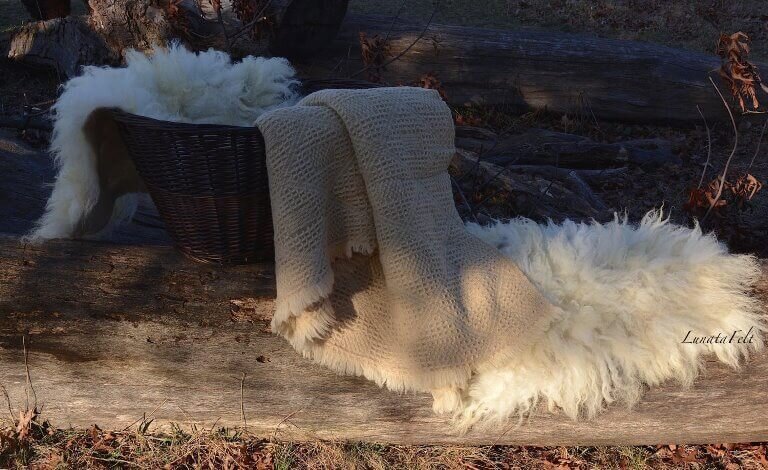 Round Cowhide Rug