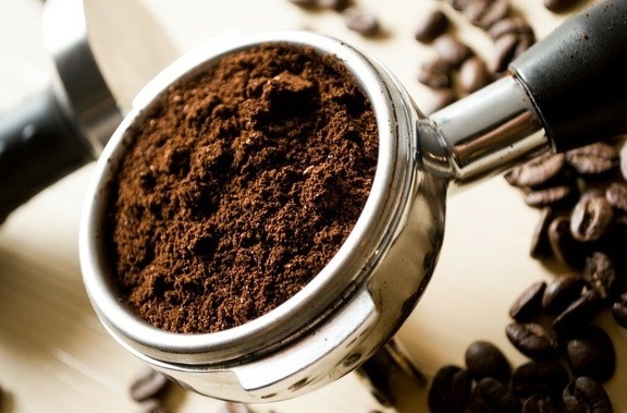 Хорошо растет только возле Экватора 