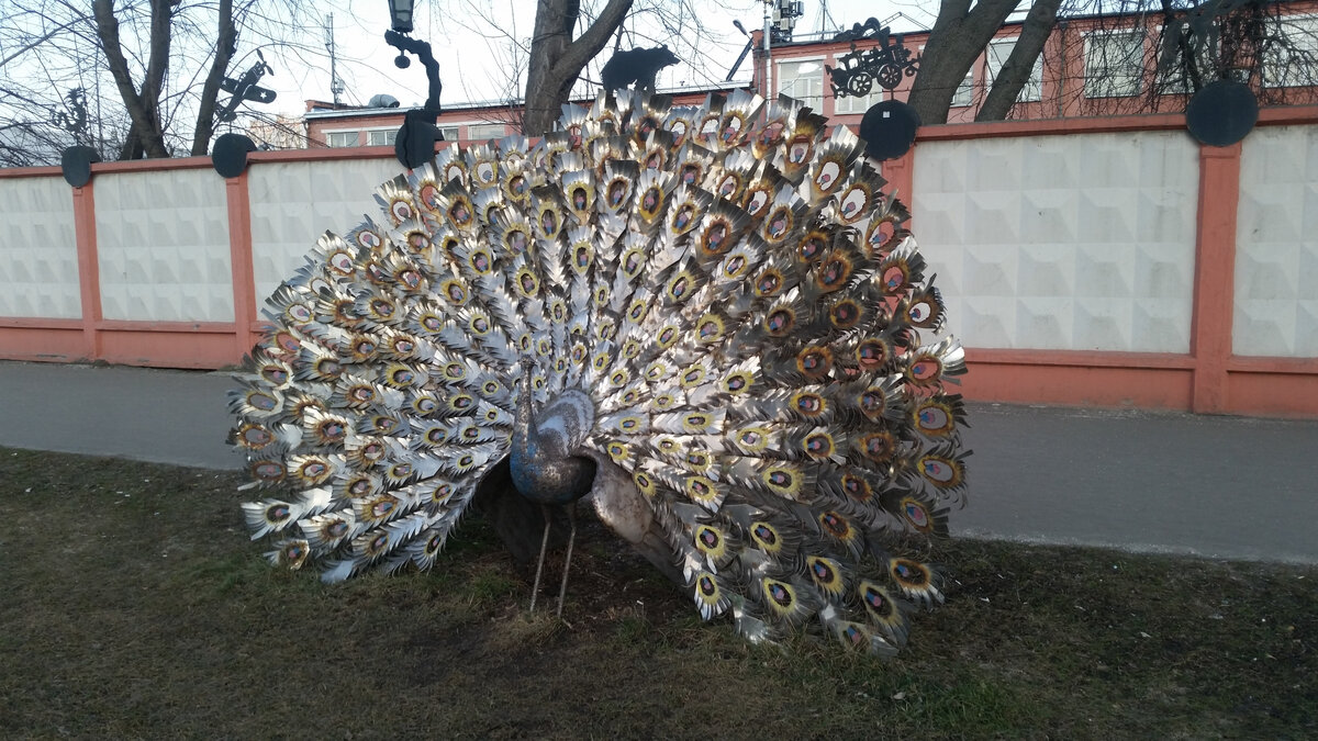 Металлический павлин на газоне у комбината. Фото Любешкина В..