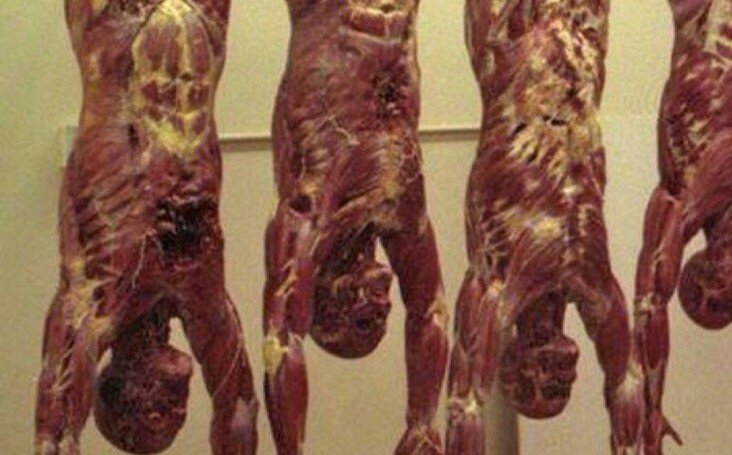 Хочу извиниться за провокационную картину ...