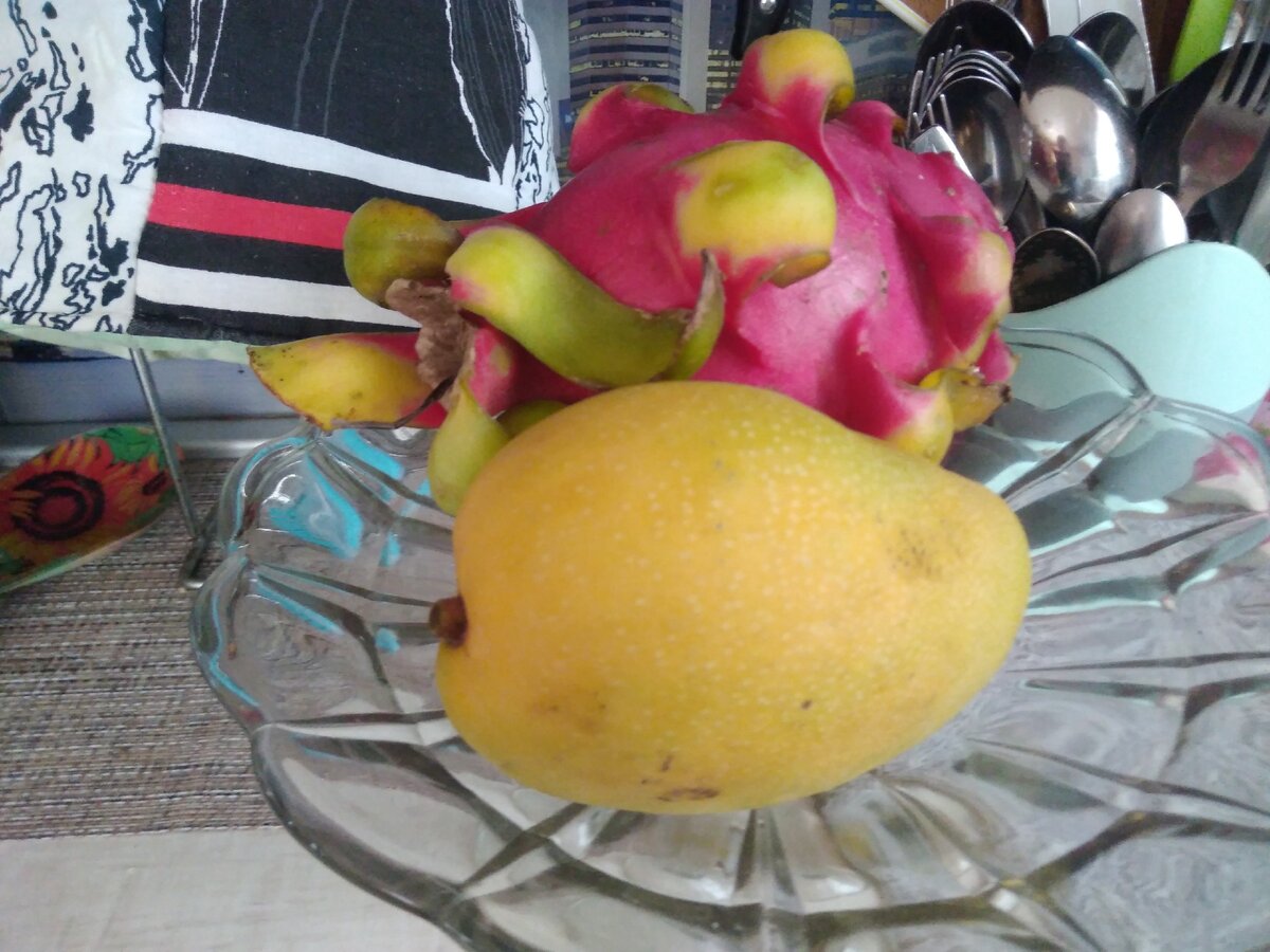 Манго и драконий глаз. 