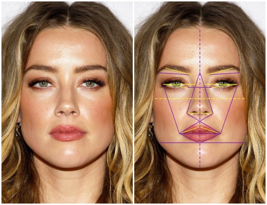 Идеальные черты лица. Золотое сечение лица. Идеальные пропорции лица. Звезды с идеальными пропорциями лица.