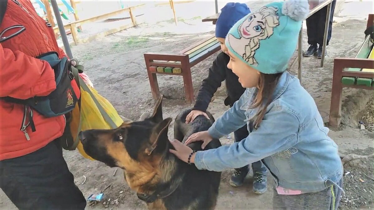 Двое из четвёрки, остальных нет во дворе. Кейси здесь почти 1,5 года