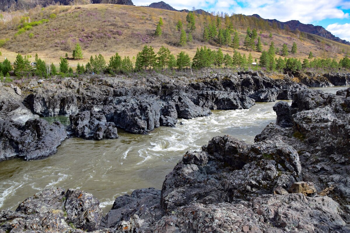 ороктойский мост горный алтай фото где находится