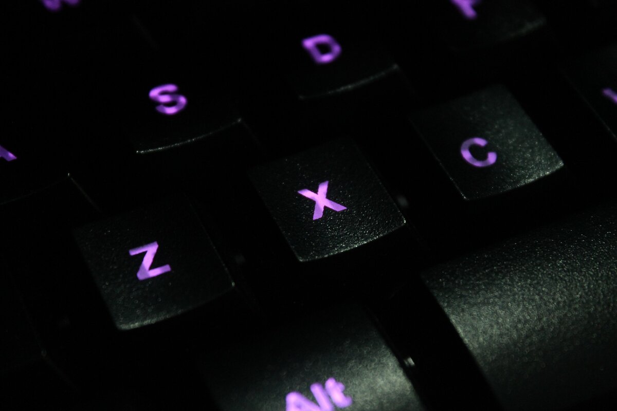 Источник: Pixabay. Почему же мы неизвестную величину обозначаем как Икс?