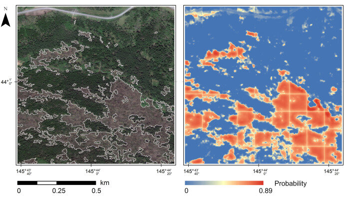 Фото: ФГБУН Ботанический сад-институт ДВО РАН