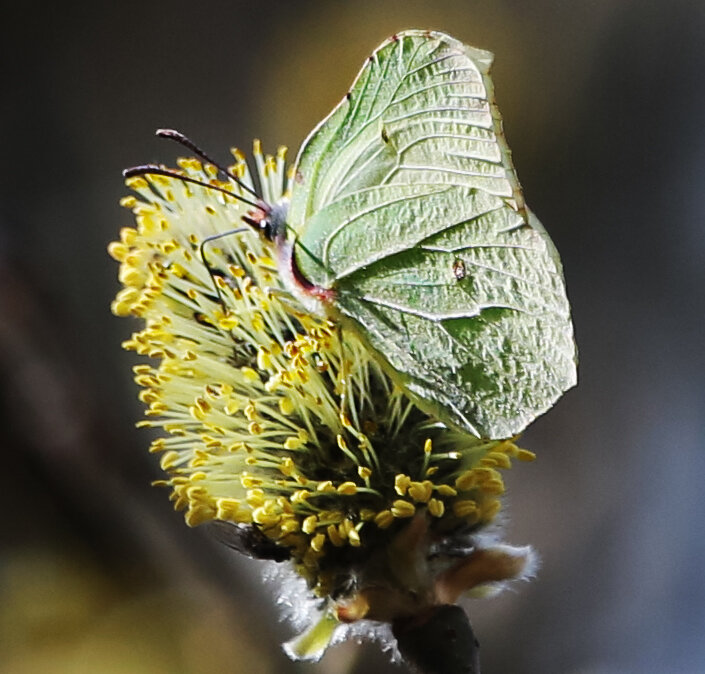 Фото из собственного архива 