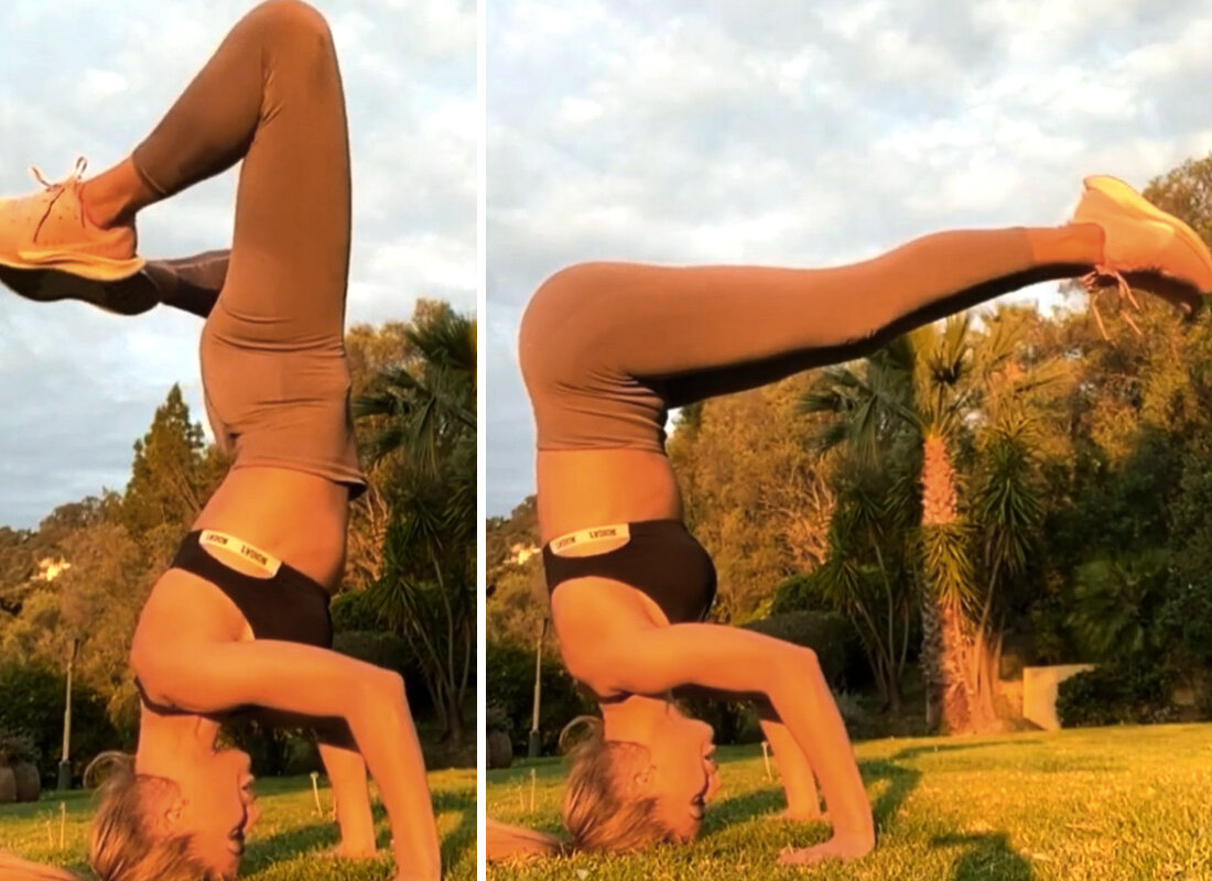 Зависла Бонита