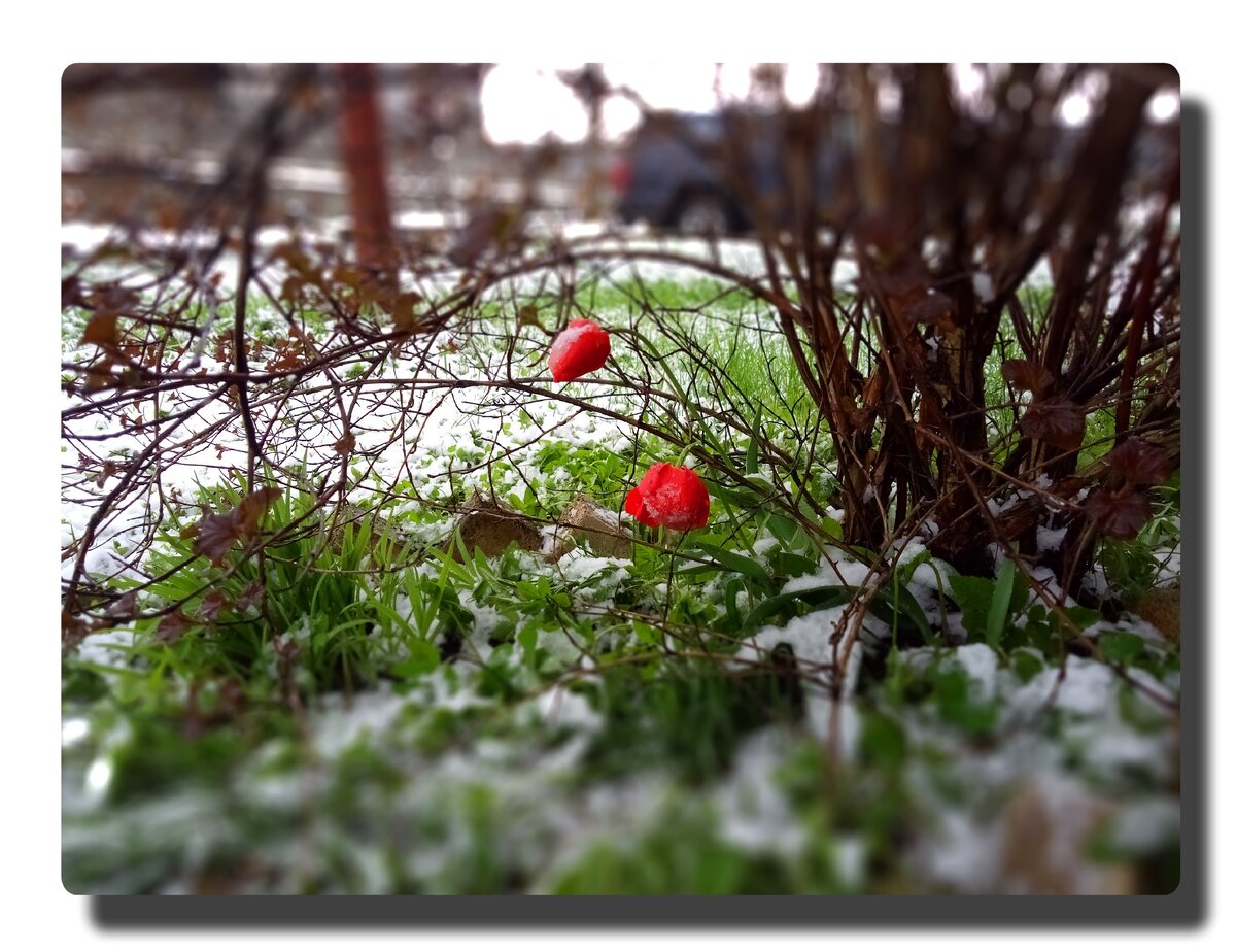 Авторское фото