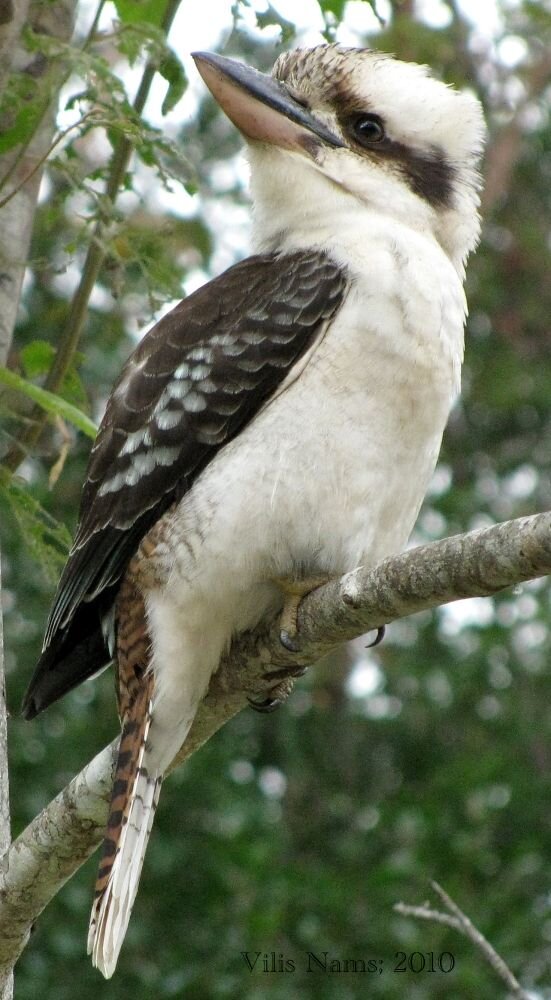 Фото с сайта Pinterest