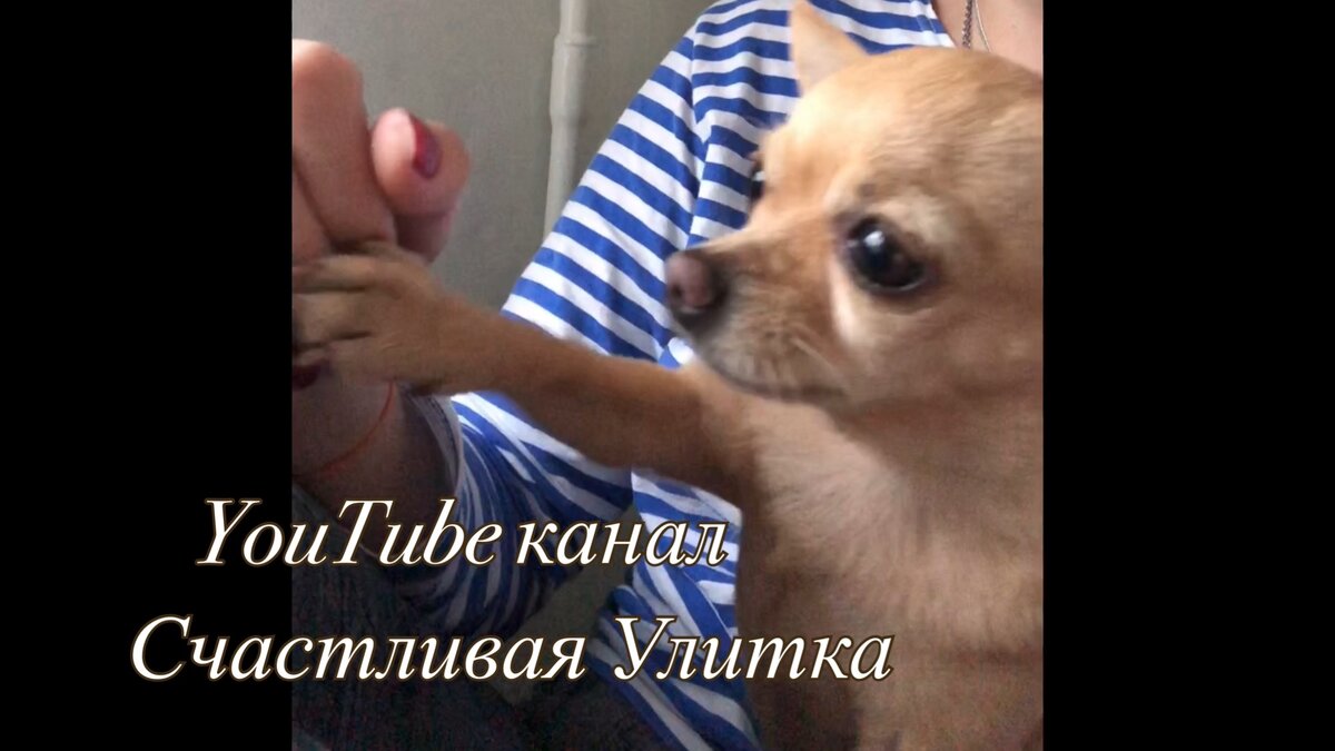 Личная фотография 