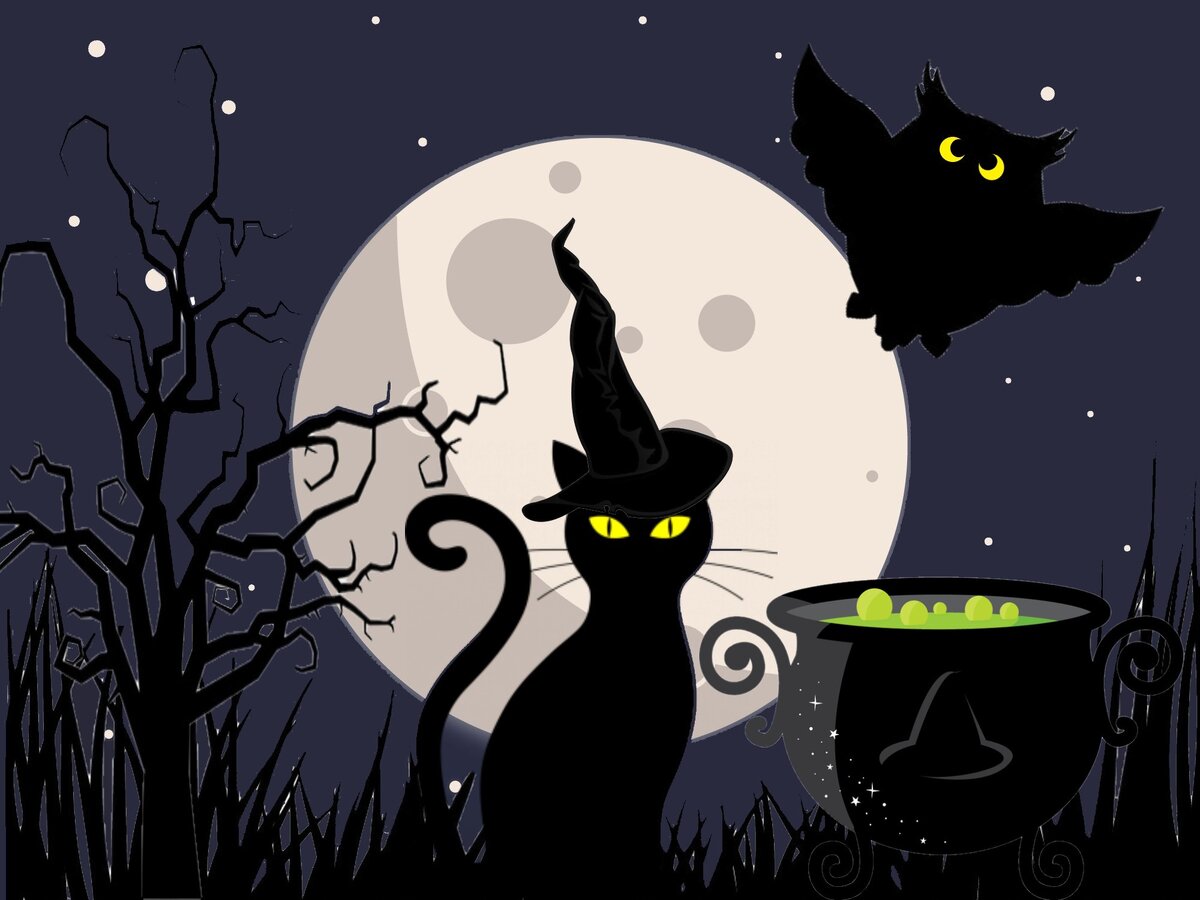 Кот Федот и филин Йося: волшебное зелье