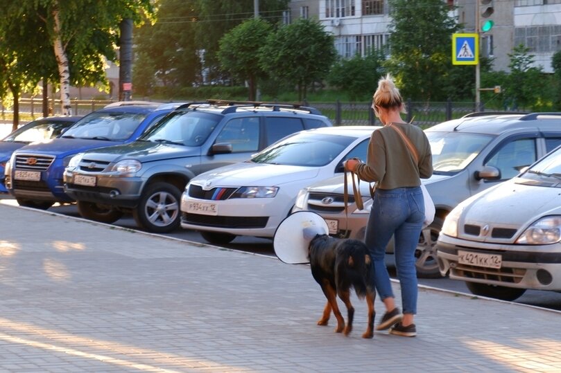 Фото Сергея Мамеева