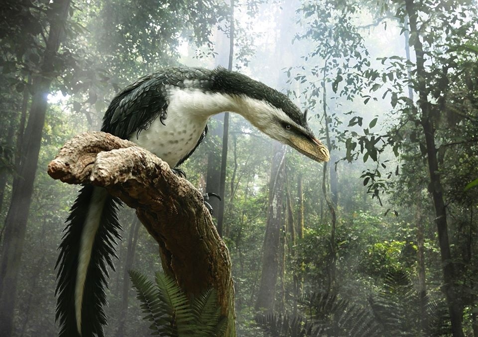 
Дромеозавр работы Fraser Andrews