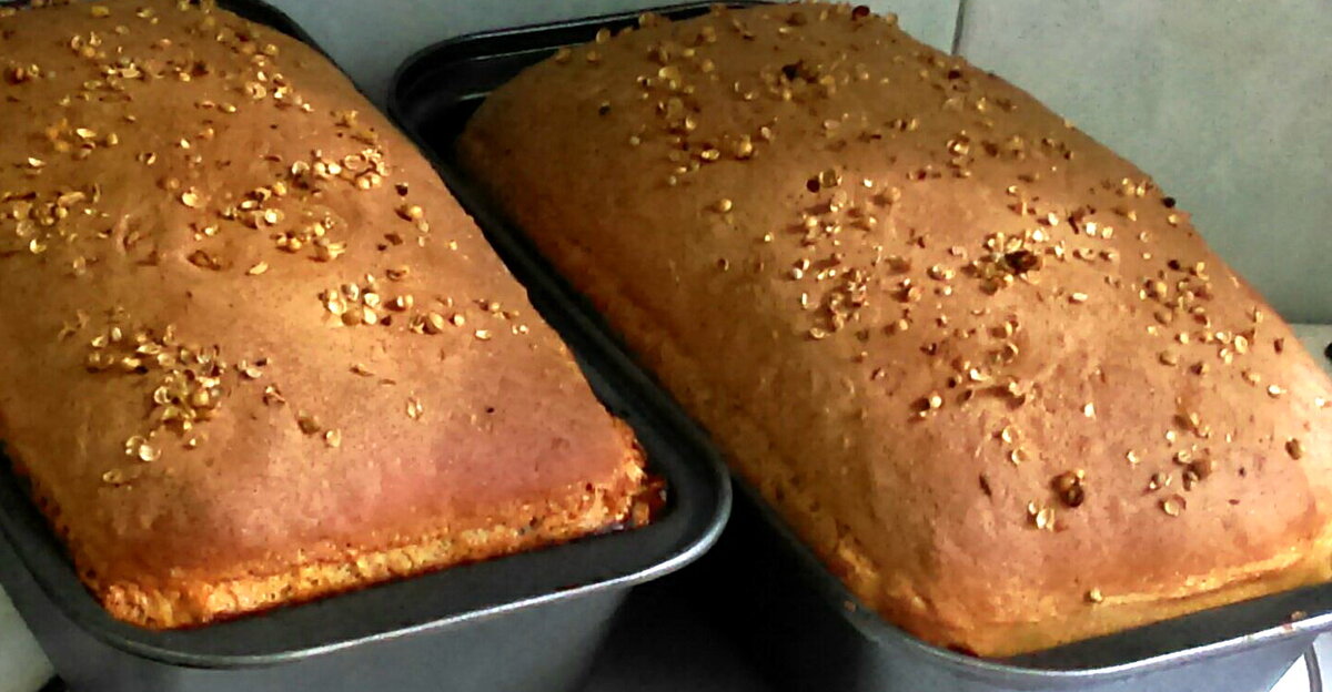 Мой хлебушек ))