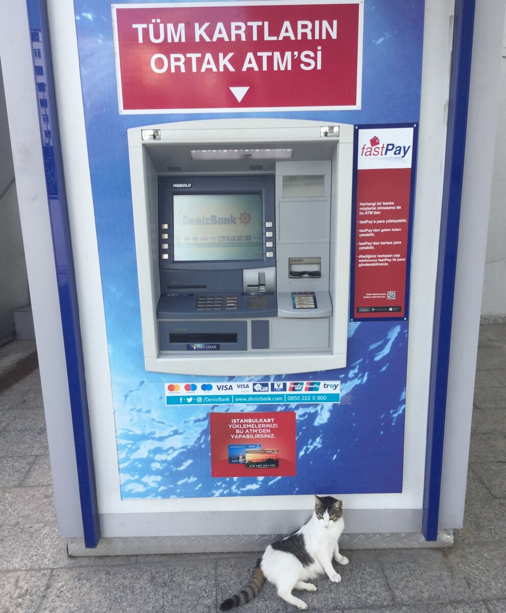 Банкомат DenizBank и котик, который не работает на банк (фото автора)