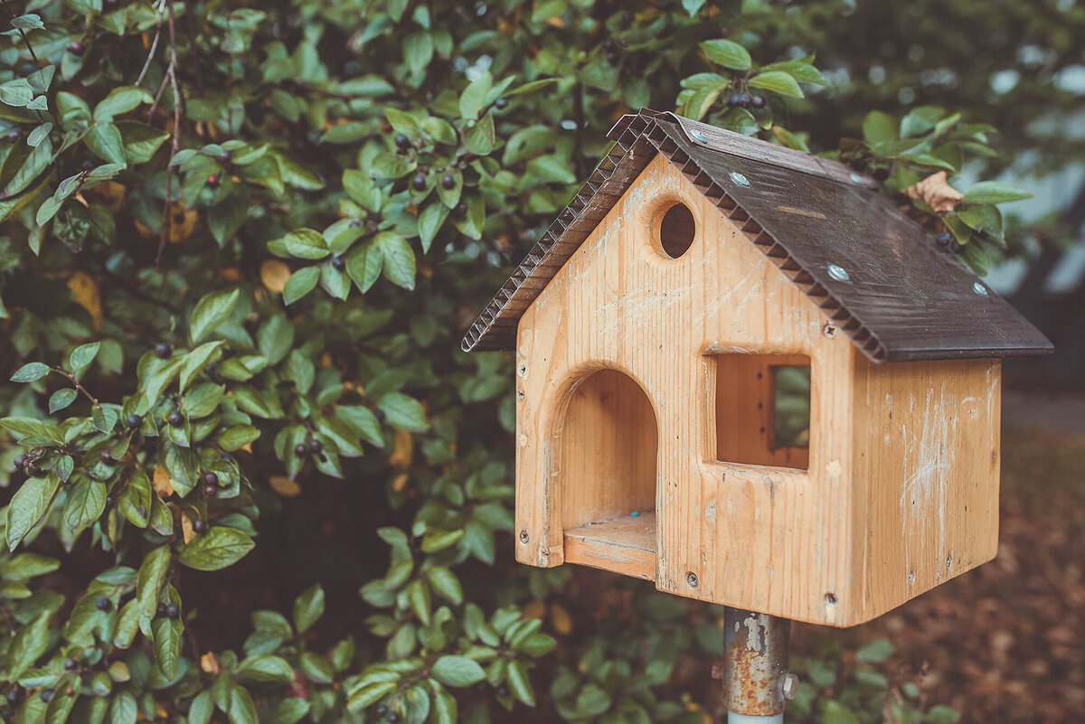 Пермакультура в педагогике | Российский Центр Пермакультуры Хольцера | Дзен