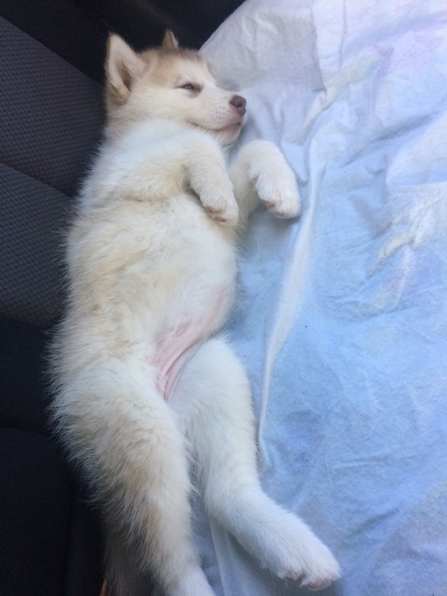 Ехали мы домой долго, где-то 2,5-3 часа. 