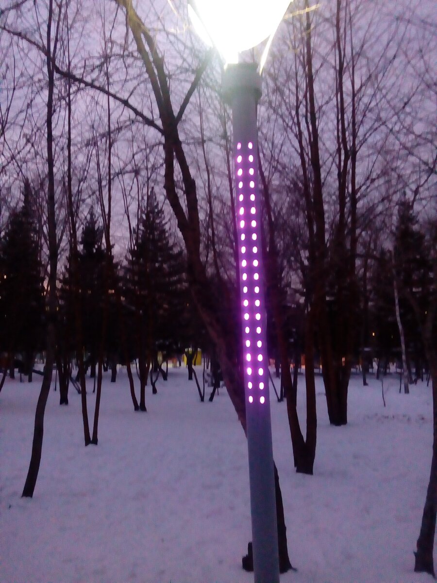 Личное фото.