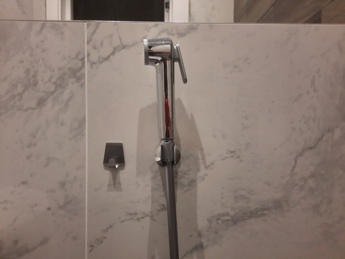 Лейка гигиенического душа. Фото автора.