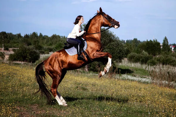 Источник фото сервис Яндекс.Картинки