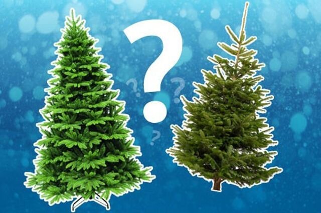 Живая или искусственная? Вы за какую?)