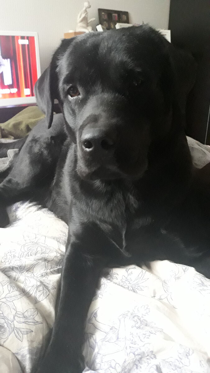 Паня пришел жаловаться на тяжелую судьбу