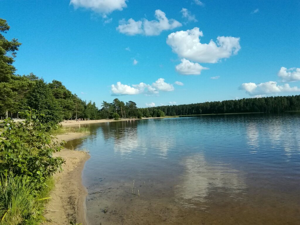 Хотелось бы тоже не смущаться на пляже. Было решено— пора немного похудеть