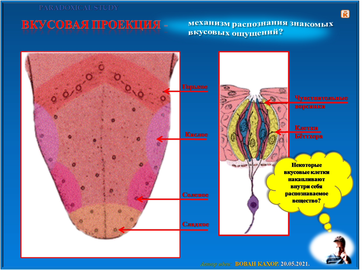 Заходите на мой сайт по адресу: paradoxicalstudy.blogspot.com