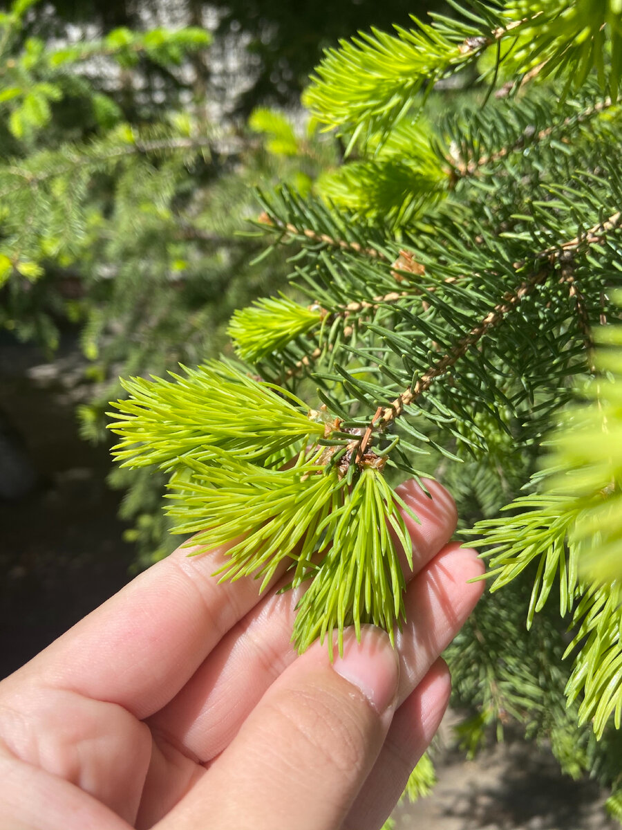 Просто красивый кадр, который я сделала сегодня.