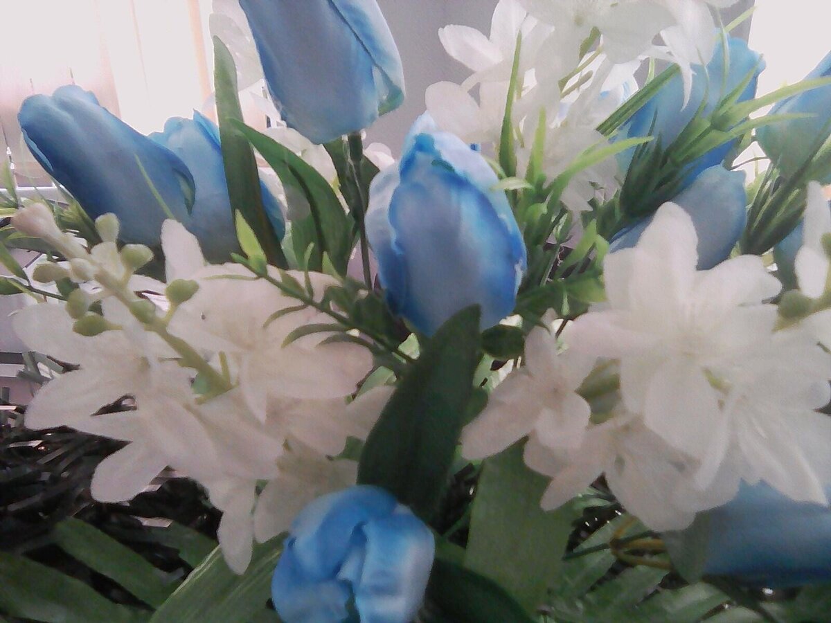 тюльпаны ангелочку