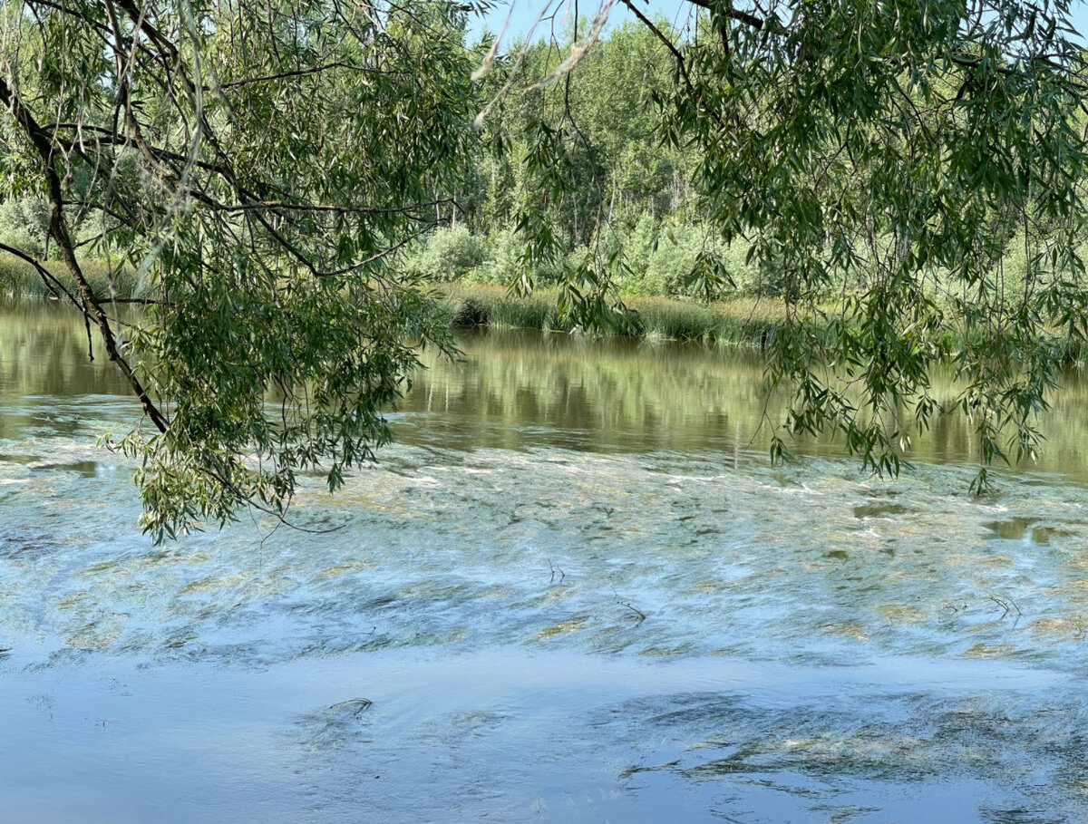 Река ах. Дамба у октябрьского башкортостан на реке ик фото. Река сестра клин. Река судость россия. Эх река река.