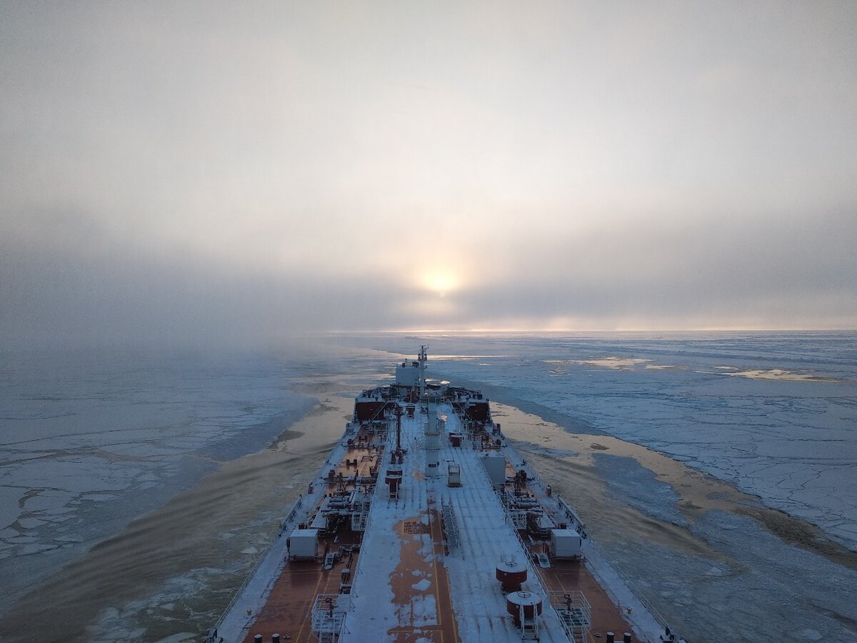 Штурман Овцын»: работа в Арктике (фотогаллерея) | МОРФЛОТ | Дзен