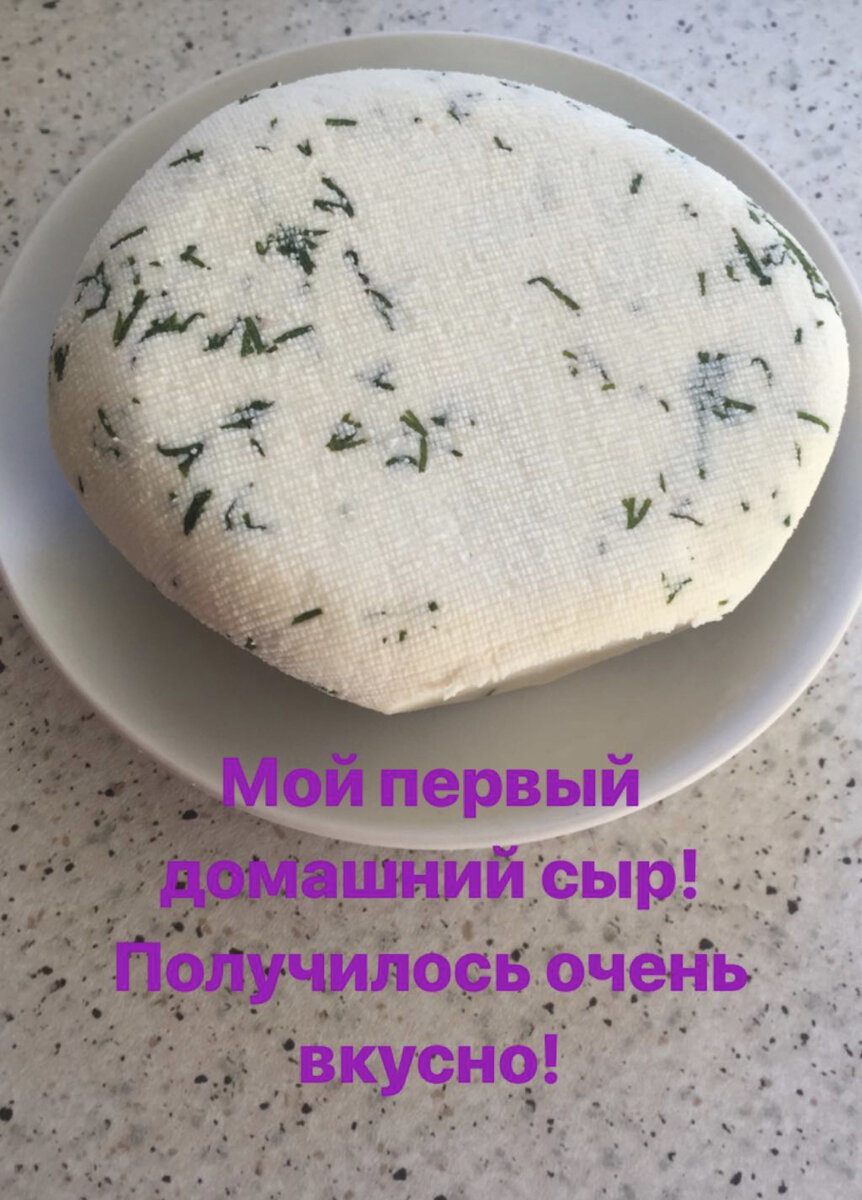 Домашний сыр