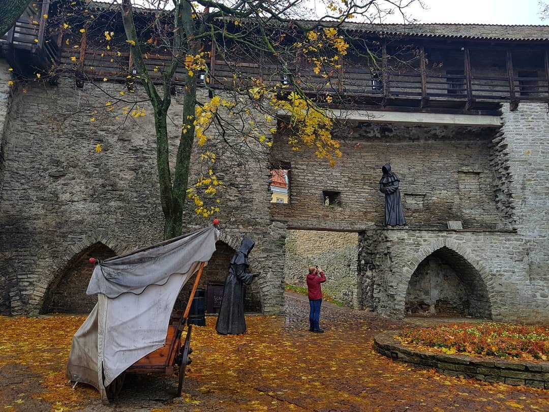 Вид внутри
