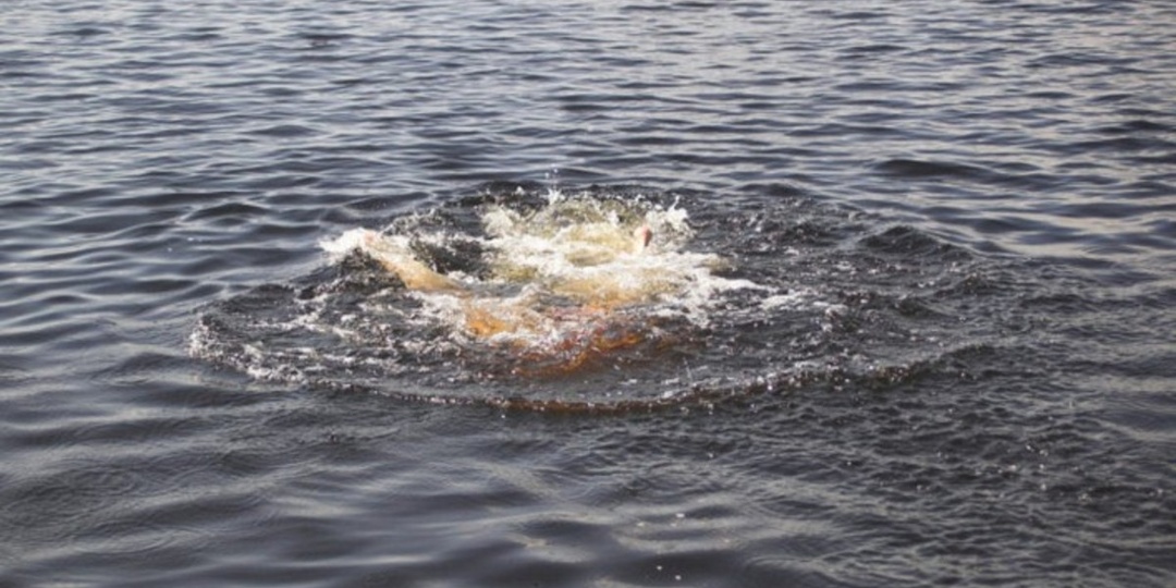 Спасение утопающих - это не только забота спасателей...