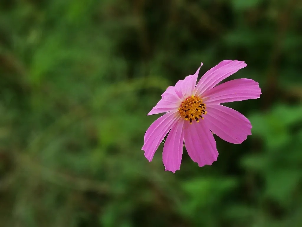 Источник: 微信