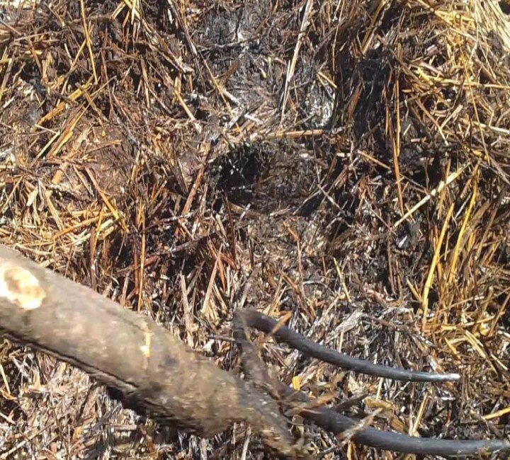 Перебивка компоста