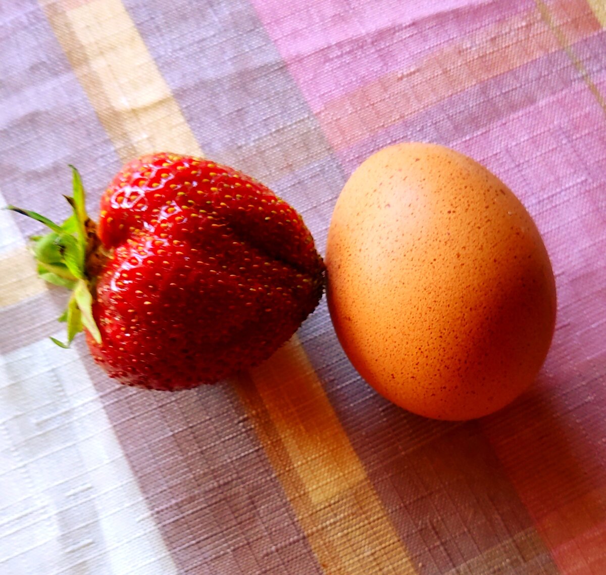 В сравнении с яйцом С1. 