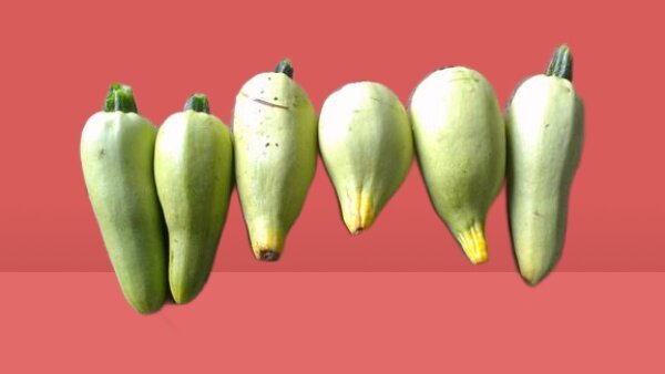 ������ ����� ������ � ����� ����� ������� ������� � ���������� ����� � ����� 